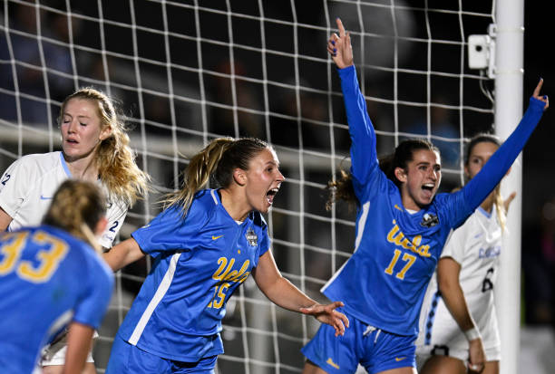 因为这不仅 因为这不仅