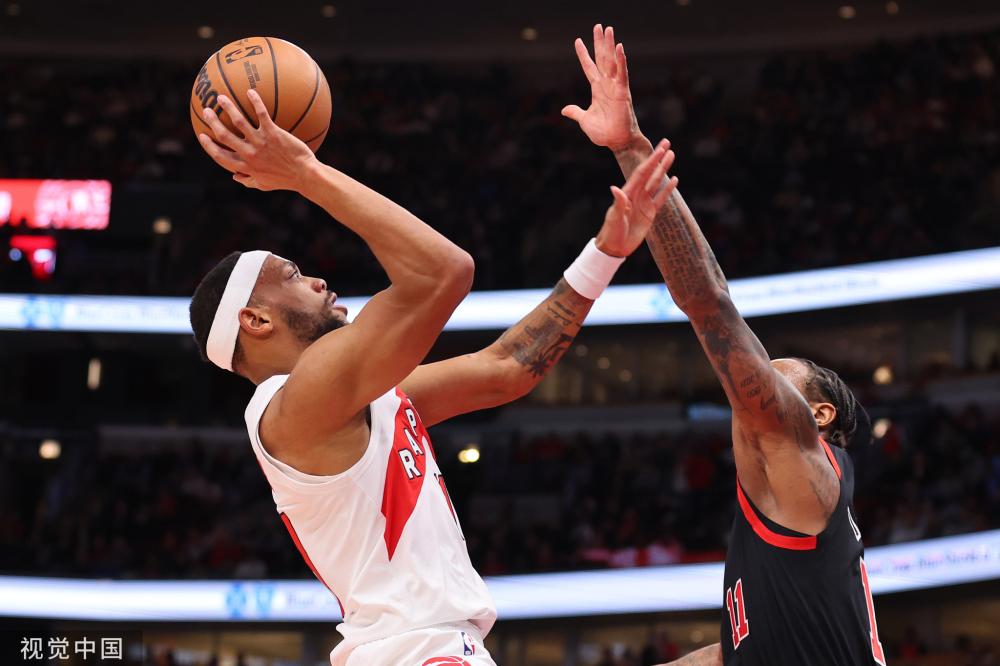 宣布欢迎鲍 宣布欢迎鲍