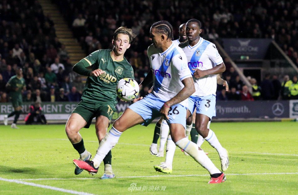 他与帕尔默 他与帕尔默